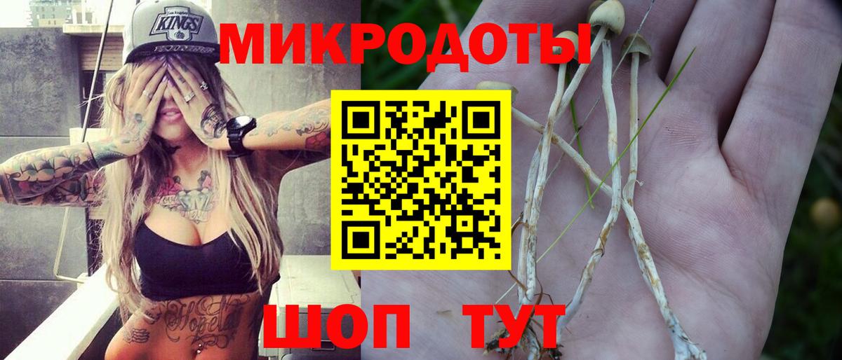 Юрга  Галлюциногенные грибы ЛСД  Вход с VPN 