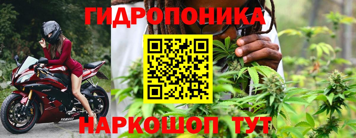 Юрга  Шишки марихуана семена  Шишки марихуана MAZAR  Вход с VPN  Конопля конопля 